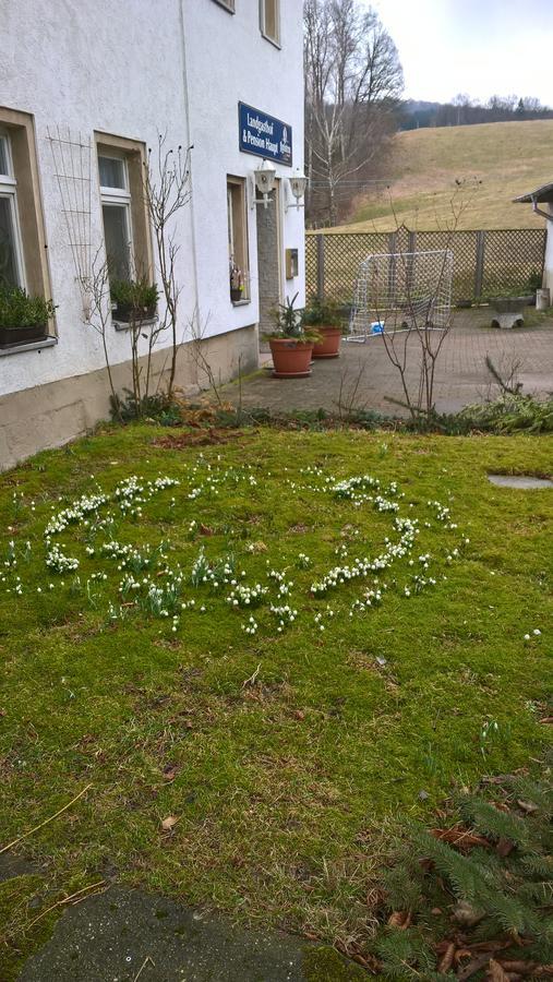 Landpension Haupt Sebnitz Exterior photo