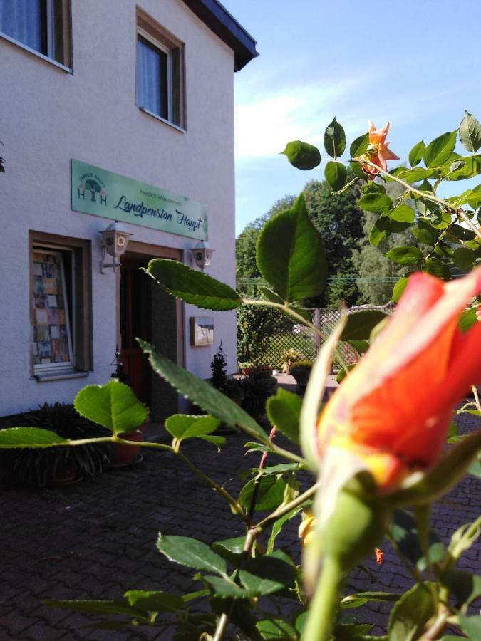 Landpension Haupt Sebnitz Exterior photo