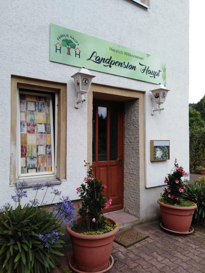 Landpension Haupt Sebnitz Exterior photo